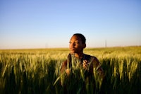 a woman in a wheat field looking up at the sky