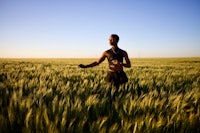 a man standing in a field of wheat